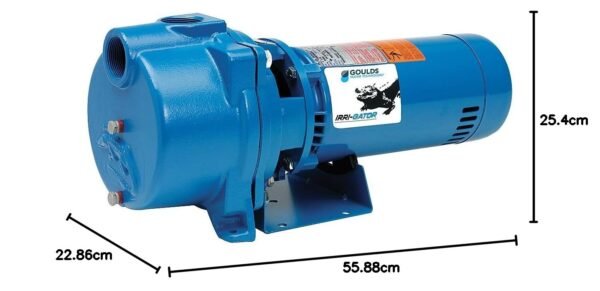 GOULDS Pumps GT15 Centrifugal Pump Review Powerful Self-Priming Above Ground Solution