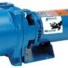 GOULDS Pumps GT15 Centrifugal Pump Review Powerful Self-Priming Above Ground Solution