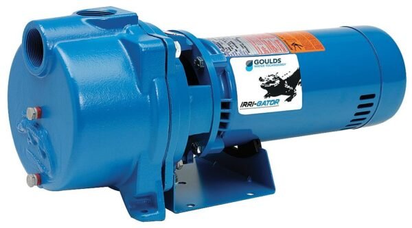 GOULDS Pumps GT15 Centrifugal Pump Review Powerful Self-Priming Above Ground Solution