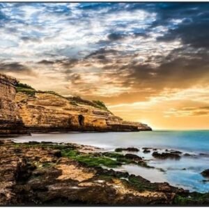 Samsung QE85T Digital Signage Display